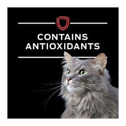 Pro Plan DM Dietetic Management Canned Cat Food 5.5 oz (24 ct) - Item # 70041