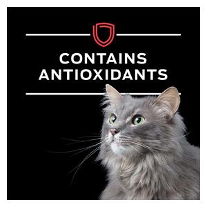 Pro Plan DM Dietetic Management Canned Cat Food 5.5 oz 24 ct - Item # 70041