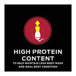 Pro Plan DM Dietetic Management Canned Cat Food 5.5 oz (24 ct) - Item # 70041