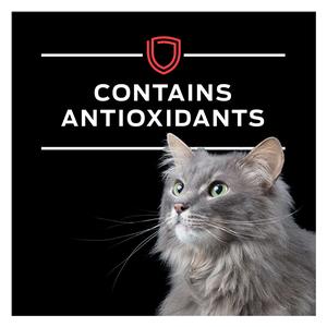 Pro Plan DM Dietetic Management Savory Selects Canned Cat Food 5.5 oz 24 ct - Item # 70042
