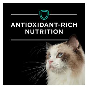 Pro Plan EN Gastroenteric Formula Canned Cat Food 5.5 oz 24 ct - Item # 70043