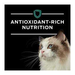 Purina Pro Plan Veterinary Diets EN Gastroenteric Formula Canned Cat Food 5.5 oz (24 ct) - Item # 70043
