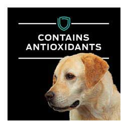 Pro Plan EN Gastroenteric Canned Dog Food 13.4 oz 12 ct - Item # 70045