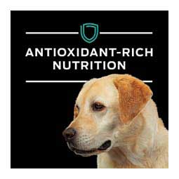 Pro Plan EN Gastroenteric Naturals Canned Dog Food 13.4 oz 12 ct - Item # 70047