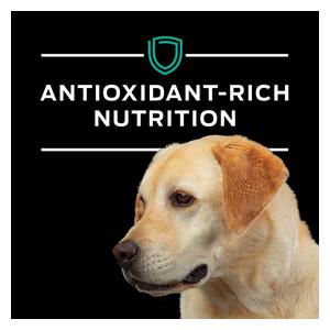 Pro Plan EN Gastroenteric Naturals Canned Dog Food 13.4 oz 12 ct - Item # 70047