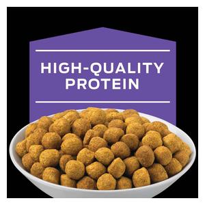 Pro Plan DH Dental Health Dry Cat Food 6 lb - Item # 70048