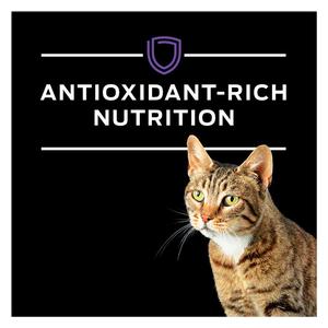 Pro Plan DH Dental Health Dry Cat Food 6 lb - Item # 70048