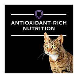 Pro Plan DH Dental Health Dry Cat Food 6 lb - Item # 70048