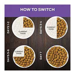 Pro Plan DH Dental Health Dry Cat Food 6 lb - Item # 70048