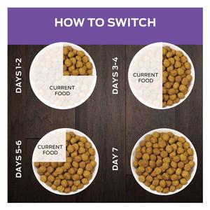 Pro Plan DH Dental Health Dry Cat Food 6 lb - Item # 70048