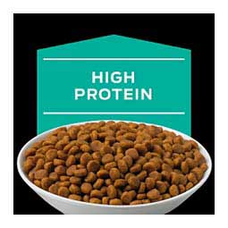 Pro Plan EN Gastroenteric Dry Cat Food 6 lb - Item # 70049