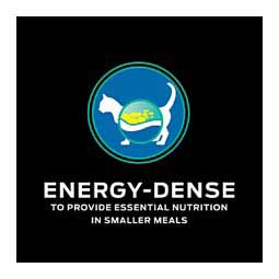 Pro Plan EN Gastroenteric Dry Cat Food 6 lb - Item # 70049