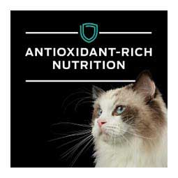 Purina Pro Plan Veterinary Diets EN Gastroenteric Dry Cat Food 6 lb - Item # 70049