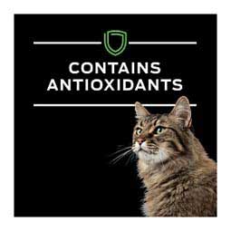 Pro Plan HA Hydrolyzed Dry Cat Food 8 lb - Item # 70053