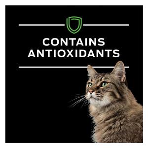 Pro Plan HA Hydrolyzed Dry Cat Food 8 lb - Item # 70053