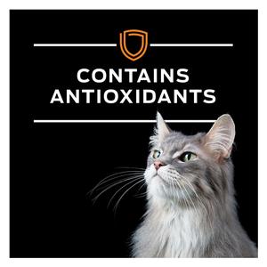 Pro Plan OM Overweight Management Dry Cat Food 6 lb - Item # 70058