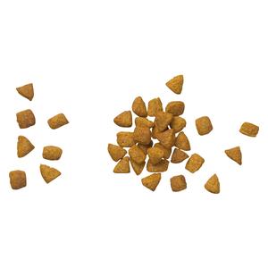 Pro Plan UR Urinary St/Ox Formula Dry Cat Food 6 lb - Item # 70060