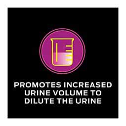 Pro Plan UR Urinary St/Ox Formula Dry Cat Food 6 lb - Item # 70060
