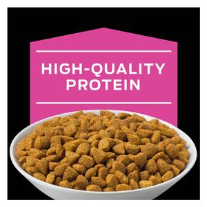 Pro Plan UR Urinary St/Ox Formula Dry Cat Food 16 lb - Item # 70061