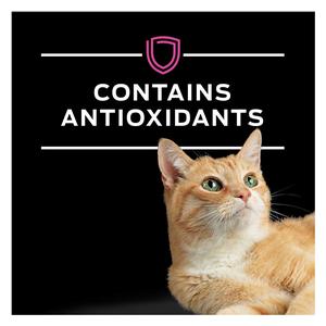 Pro Plan UR Urinary St/Ox Formula Dry Cat Food 16 lb - Item # 70061