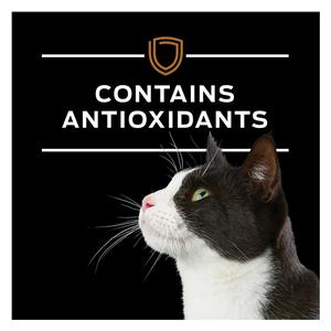 Pro Plan NF Kidney Function Early Care Canned Cat Food 5.5 oz 24 ct - Item # 70064