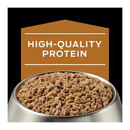 Pro Plan NF Kidney Function Canned Dog Food 13.3 oz 12 ct - Item # 70065