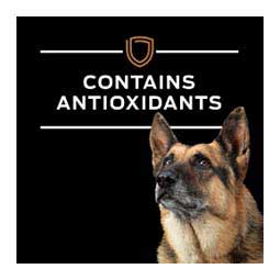 Pro Plan NF Kidney Function Canned Dog Food 13.3 oz 12 ct - Item # 70065