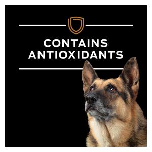 Pro Plan NF Kidney Function Canned Dog Food 13.3 oz 12 ct - Item # 70065