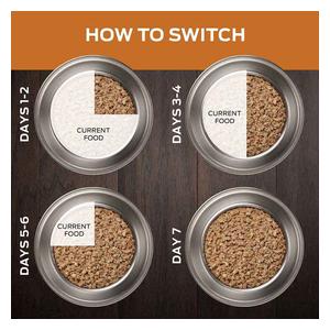 Pro Plan NF Kidney Function Canned Dog Food 13.3 oz 12 ct - Item # 70065