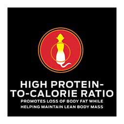 Pro Plan OM Overweight Management Canned Cat Food 5.5 oz 24 ct - Item # 70066