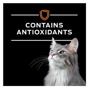 Pro Plan OM Overweight Management Canned Cat Food 5.5 oz 24 ct - Item # 70066