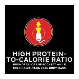 Pro Plan OM Overweight Management Savory Selects Canned Cat Food - Chicken 5.5 oz 24 ct - Item # 70067