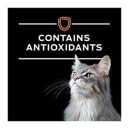 Pro Plan OM Overweight Management Savory Selects Canned Cat Food - Salmon 5.5 oz 24 ct - Item # 70068