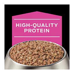 Pro Plan UR Urinary Ox/St Canned Dog Food 13.3 oz 12 ct - Item # 70074