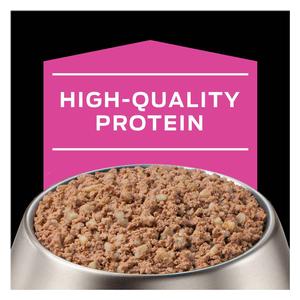 Pro Plan UR Urinary Ox/St Canned Dog Food 13.3 oz 12 ct - Item # 70074