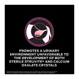 Pro Plan UR Urinary Ox/St Canned Dog Food 13.3 oz 12 ct - Item # 70074