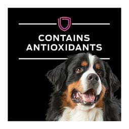 Pro Plan UR Urinary Ox/St Canned Dog Food 13.3 oz 12 ct - Item # 70074