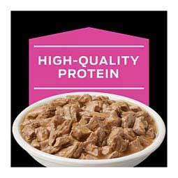Pro Plan UR ST/OX Urinary Formula Savory Selects Canned Cat Food - Salmon 5.5 oz 24 ct - Item # 70075