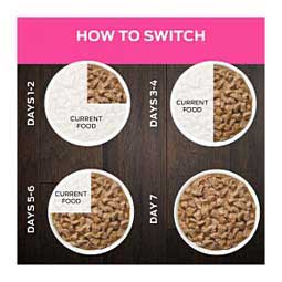 Pro Plan UR ST/OX Urinary Formula Savory Selects Canned Cat Food - Salmon 5.5 oz 24 ct - Item # 70075