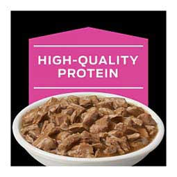 Pro Plan UR ST/OX Urinary Formula Savory Selects Canned Cat Food - Turkey 5.5 oz 24 ct - Item # 70077