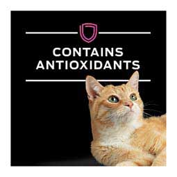 Pro Plan UR ST/OX Urinary Formula Savory Selects Canned Cat Food - Turkey 5.5 oz (24 ct) - Item # 70077