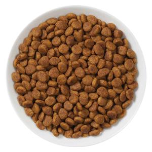 Pro Plan NF Kidney Function Advanced Care Dry Cat Food 8 lb - Item # 70078