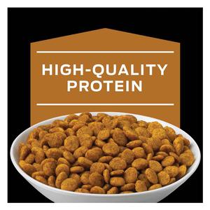 Pro Plan NF Kidney Function Advanced Care Dry Cat Food 8 lb - Item # 70078
