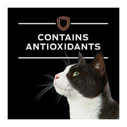 Pro Plan NF Kidney Function Advanced Care Dry Cat Food 8 lb - Item # 70078