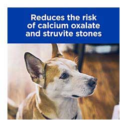 Urinary Care c/d Multicare Chicken Flavor Canned Dog Food 13 oz 12 ct - Item # 70094