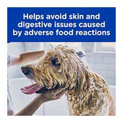 Original Skin/Food Sensitivities z/d Canned Dog Food 13 oz 12 ct - Item # 70127