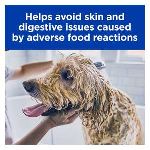 Chicken Skin/Food Sensitivities z/d Canned Dog Food 13 oz 12 ct - Item # 70127
