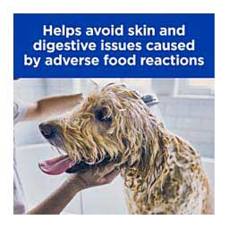 Original Skin/Food Sensitivities z/d Canned Dog Food 13 oz (12 ct) - Item # 70127