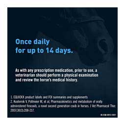 Equioxx Oral for Horses 6.93 gram - Item # 923RX