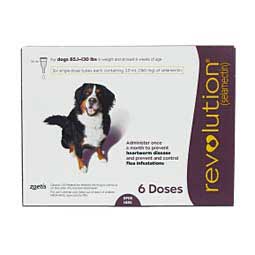 Revolution for Dogs 85.1-130 lbs 6 ct - Item # 967RX